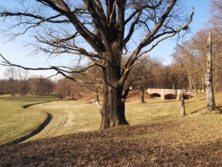 Pücklerův krajinářský park (Bad Muskau)