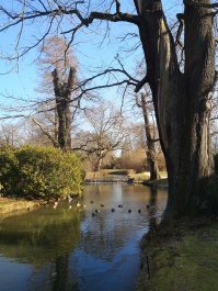 Pücklerův krajinářský park (Bad Muskau)